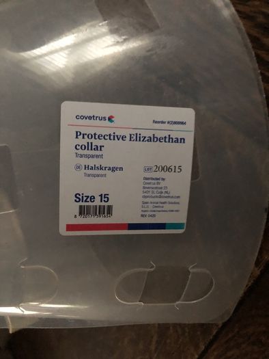 Protective Elizabethan Collar