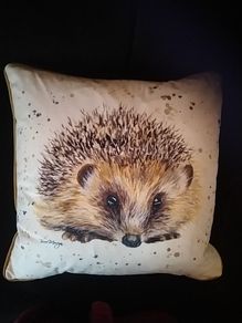 Cushion - High Quality Feather Velvet