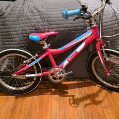 Cuda kids Bike