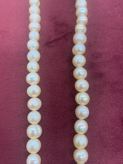 Freshwater Pearl Necklace's