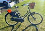 Bear Dutch Ladies Bicycle