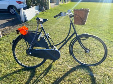Bear Dutch Ladies Bicycle