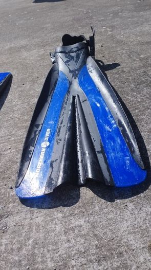scuba diving fins.