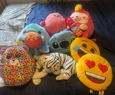 Teddies/squishmellows