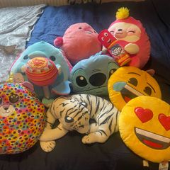 Teddies/squishmellows