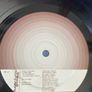 Super Furry Animals - Rings Around The World (First Press inc. 7" & DVD) Image 8