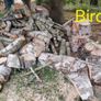 Firewood Image 2