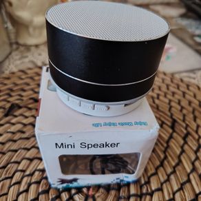 Speaker