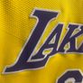 Nike Authentic Dri-FIT ADV 75th Anniversary LeBron James Lakers Jersey Image 3