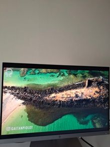 Monitor HP 24'
