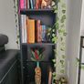 Bookshelf Image 4