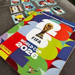 Panini World Cup Stickers Swaps - South Dublin