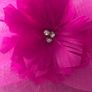 stunning nicola ross fascinator wore   once  was 165e selling for  100e Image 7