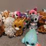 beanie boo  collection (37 many new with tags) Image 3