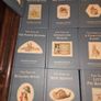 Beatrix Potter Hardback Book Collection Image 4