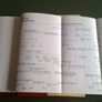The strange story of Sarah Kelly Ireland Irish history Roscommon Westmeath Signed Image 9