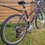 Pendleton Brooke Ladies Bike Image 3