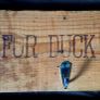 Rustic Coat Hooks Image 2