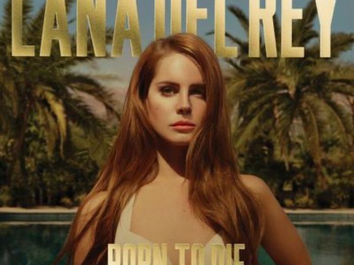 WANTED lana del rey vinyls