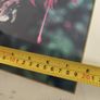 Fremed Print of Wield Fuchsia and Bee signed 40/100 lmited edditions Image 9