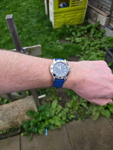 Philip Watch