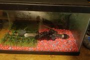Aquarium
