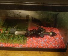 Aquarium
