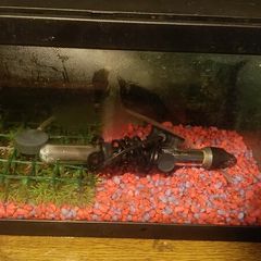 Aquarium