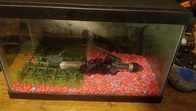 Aquarium
