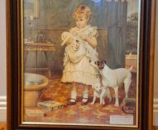 Sunlight Soap Framed Poster