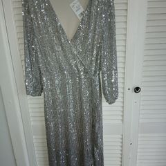Silver sequin dress BNWT