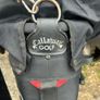 Callaway Ladies Vintage golf clubs Image 8