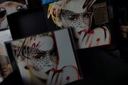 Kylie Minogue ! Kylie X ! The New Alum ! Special Edition CD and DVD ! 2007 !