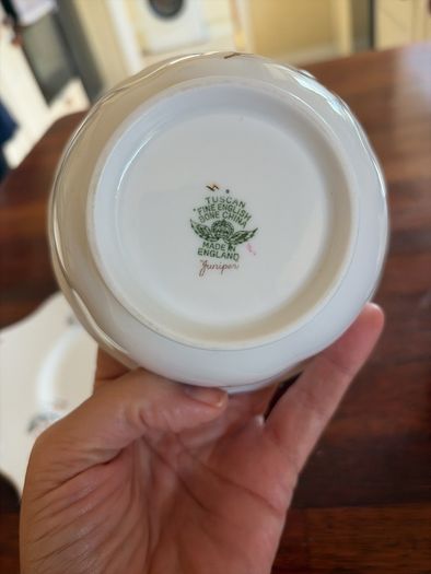 Vintage Tuscan Juniper 15 piece tea set