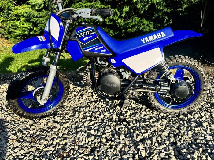 Yamaha pw50