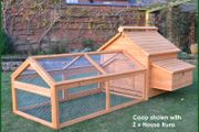 8/12 Bird Run (Extra Run for Chicken Coop)