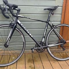 Giant Defi 3