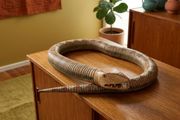 1970's  Indigenous Chilean 60 Inch Articulated Wooden Snake