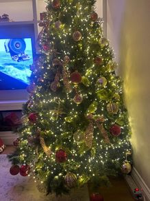 Christmas Tree 7ft  - Meadows and Byrne