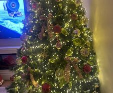 Christmas Tree 7ft  - Meadows and Byrne