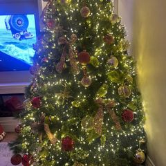 Christmas Tree 7ft  - Meadows and Byrne