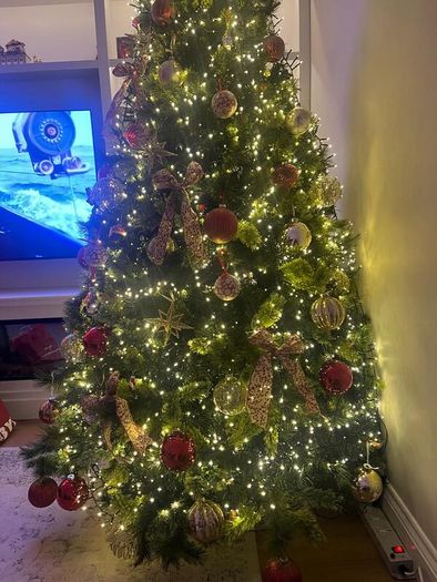 Christmas Tree 7ft  - Meadows and Byrne