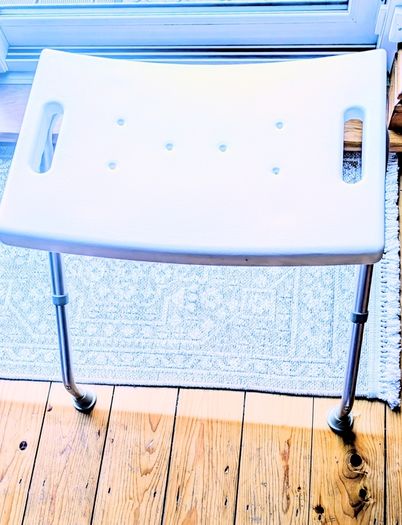 Shower seat