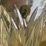 waterford glass Image 6