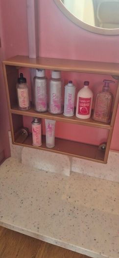 Our Generation doll Salon