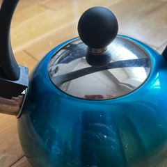 Steam kettle