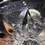 Waterford Crystal - Lismore Footed Compote / Dessert Bowl Image 5