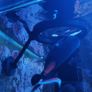 Magnetic Floating Fish Feeding Ring Image 3