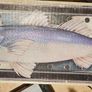 Fish Kettle Image 3