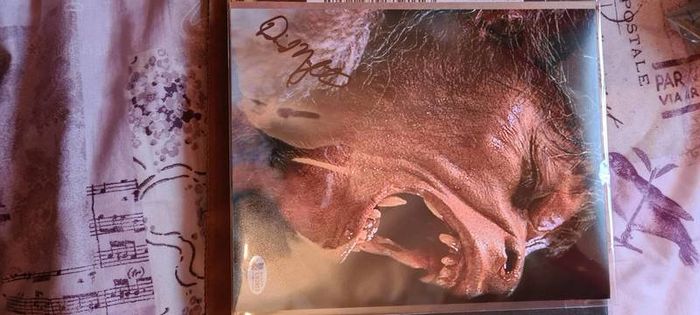 autograph American were wolf in pairs